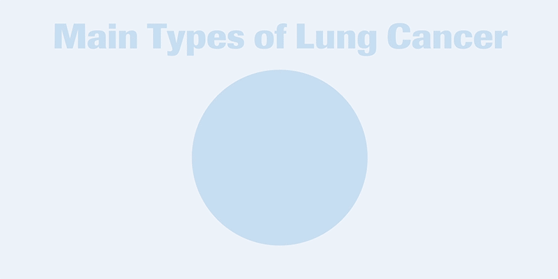 Lung cancer main types graph